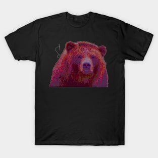 Cross Stitch Bear T-Shirt